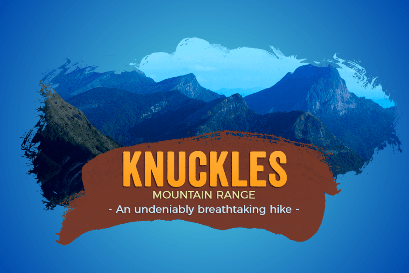 Exploring the Wonders of Knuckles Mountain Range: A Journey into Sri Lanka’s Untamed Wilderness