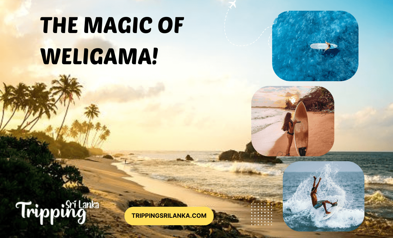 Sunset   Surf – The Magic of Weligama!