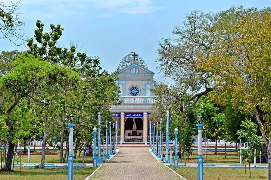 The Madhu Church Experience