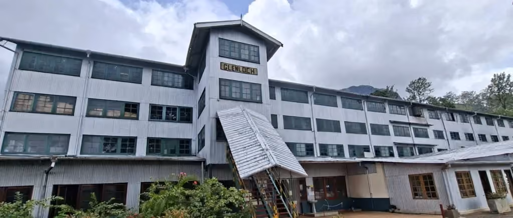 Inside Glenloch: Listening to One of Ceylon’s Old Tea Factories