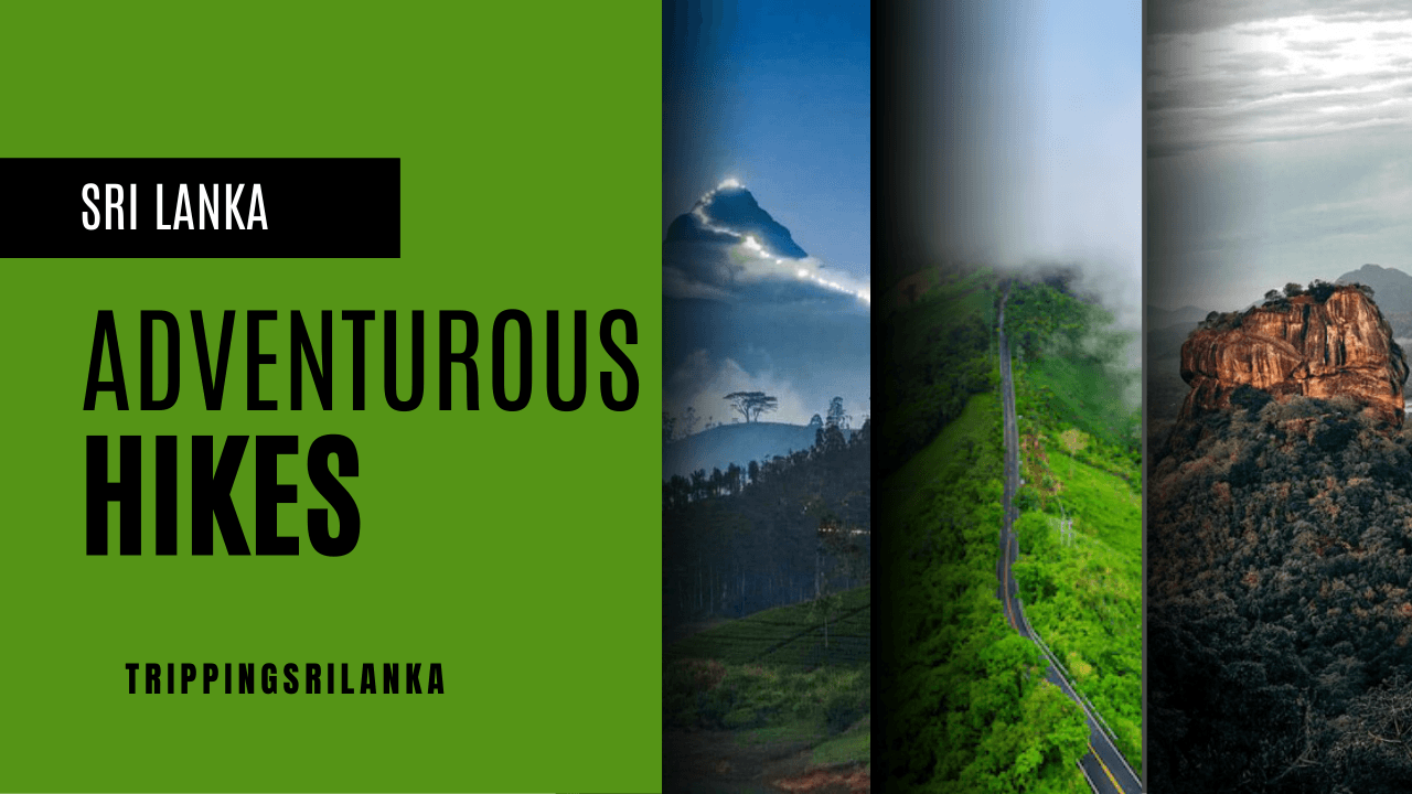 The 10 Most Adventurous Hikes in Sri Lanka