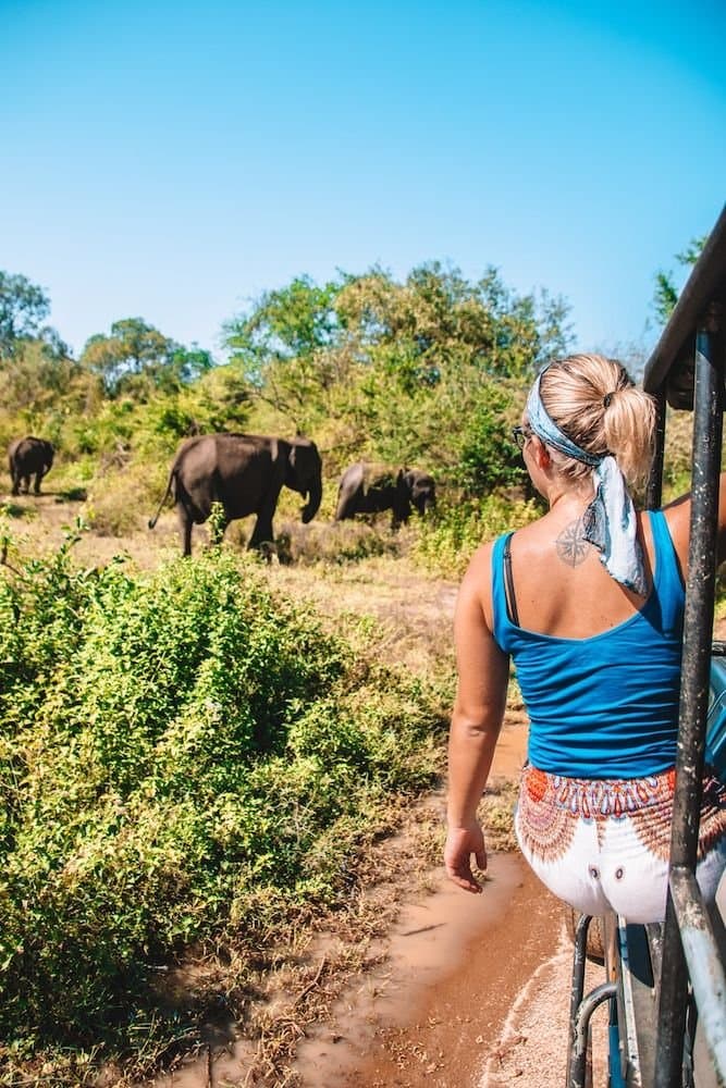 Hikes in Sri Lanka