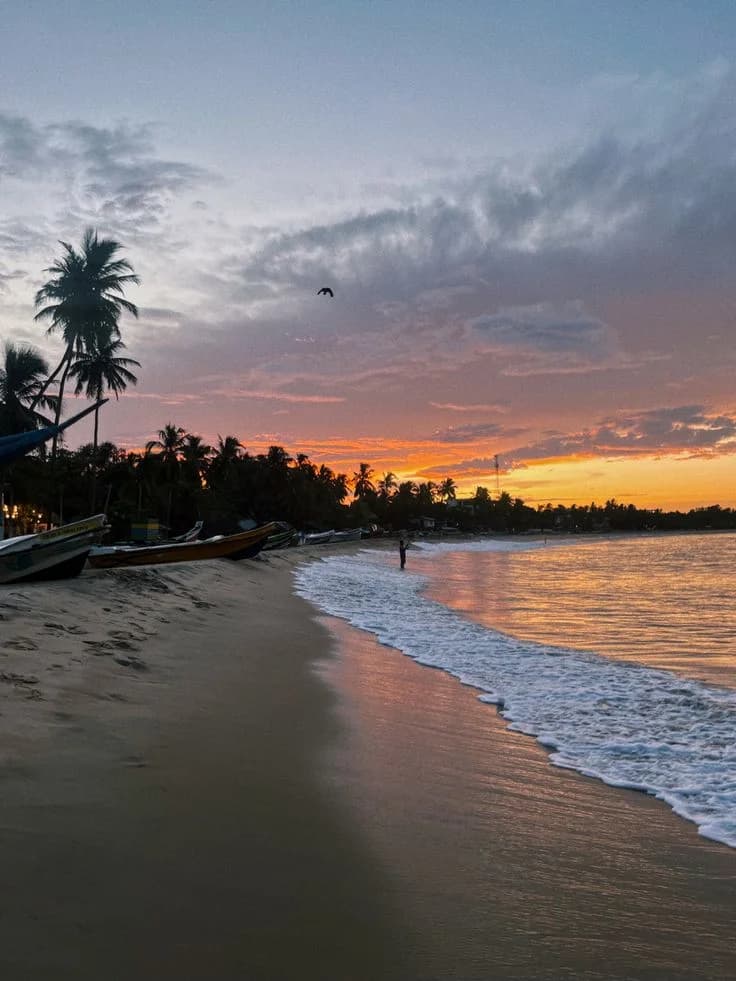 Visit Sri Lanka