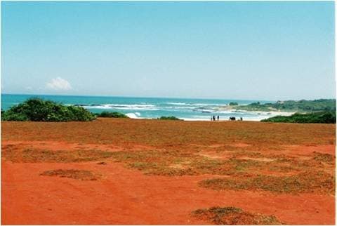 Ussangoda National Park