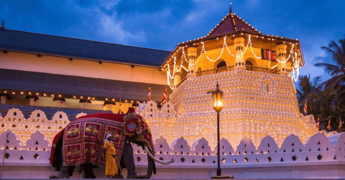 The Symphony of Elephants and Lights: Exploring the Mystical Heritage of Kandy s Esala Perahera