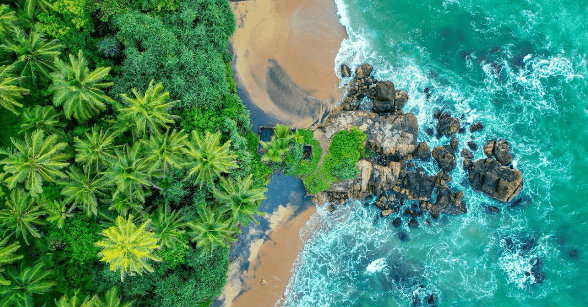 Why Sri Lankan Beaches Are Perfect for Your Next Tropical Adventure