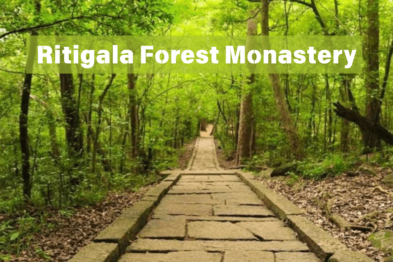 Ritigala Forest Monastery: Unearthing Serenity Amidst Ancient Ruins