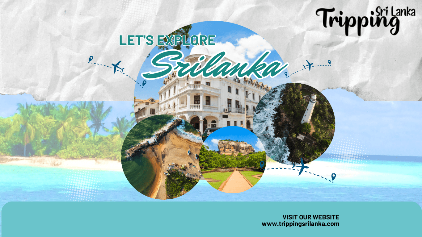 Sri Lanka Welcomes Over 200,000 Visitors in December 2024: A Milestone in Tourism Recovery