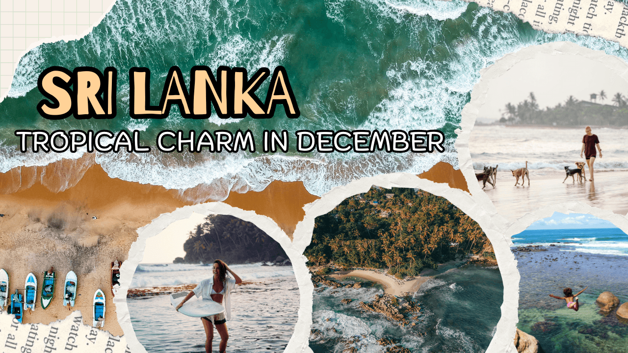 Discovering Sri Lanka’s Tropical Charm in December