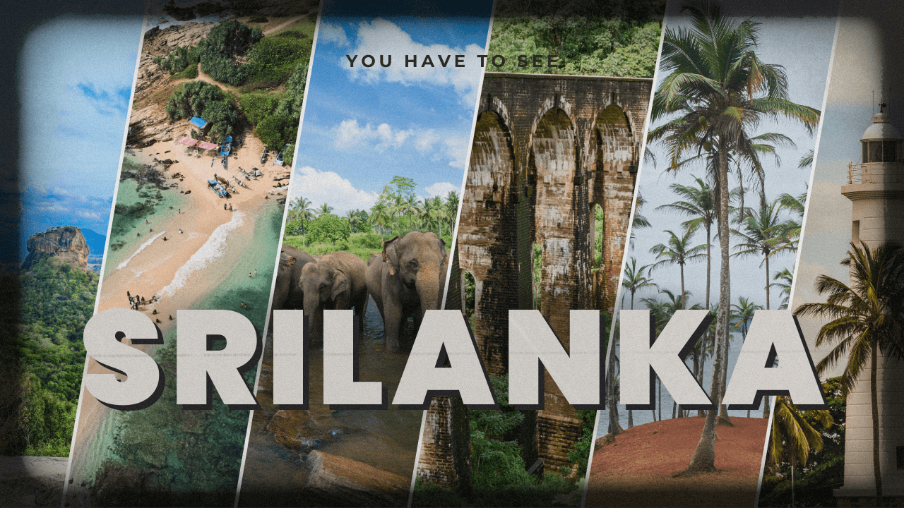 Exploring Sri Lanka Month by Month: A 2025 Travel Guide