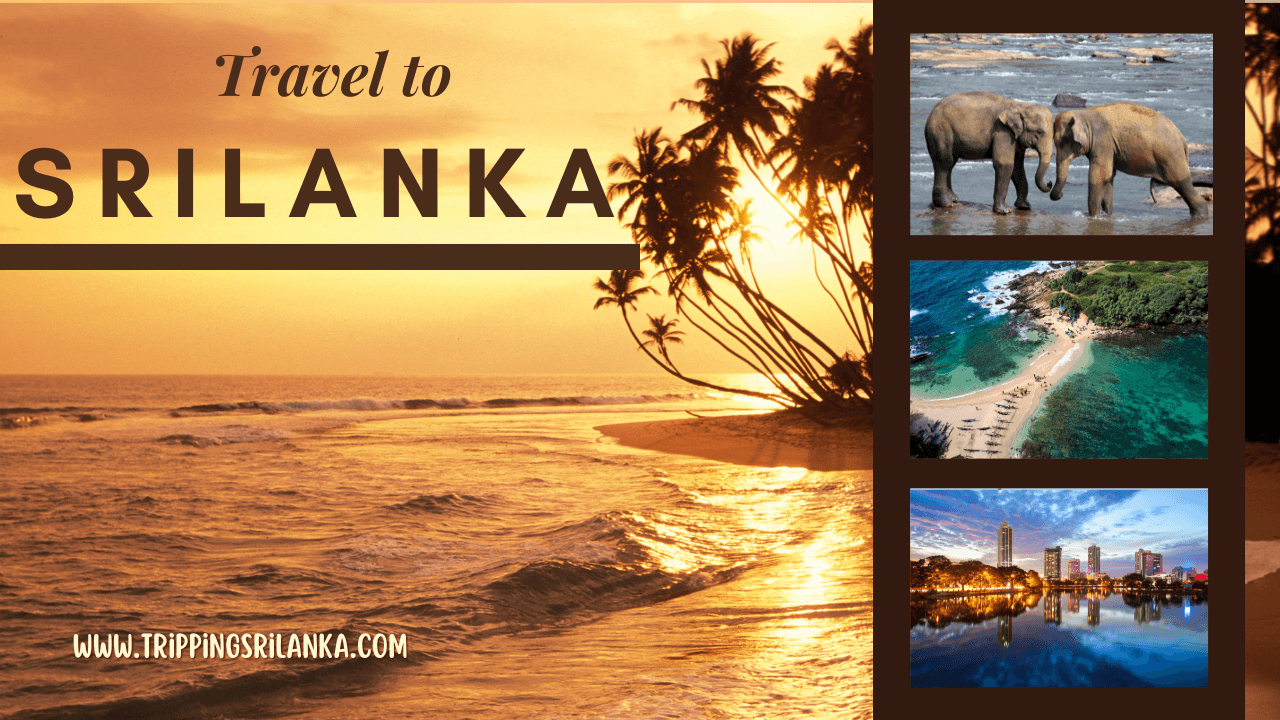 Sri Lanka Ranked Among BBC’s Top 10 Travel Destinations for 2025