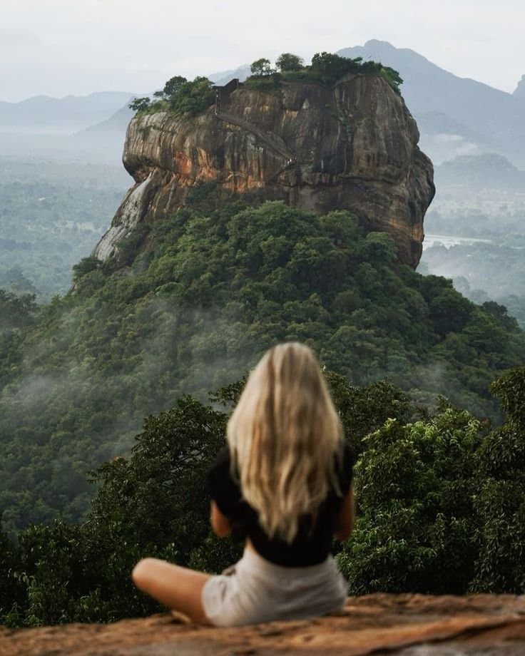 Solo Traveler