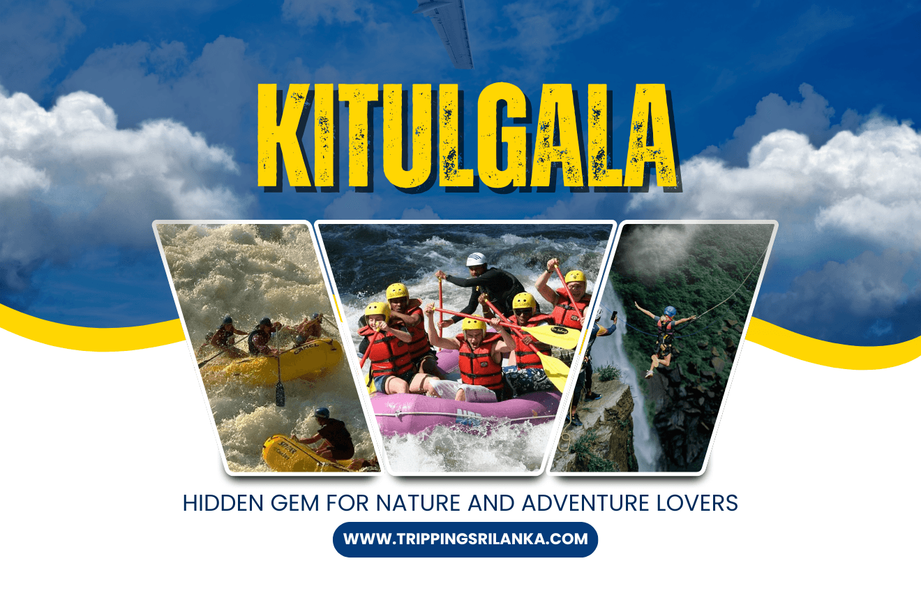 Exploring Kitulgala A Hidden Gem for Nature and Adventure Lovers