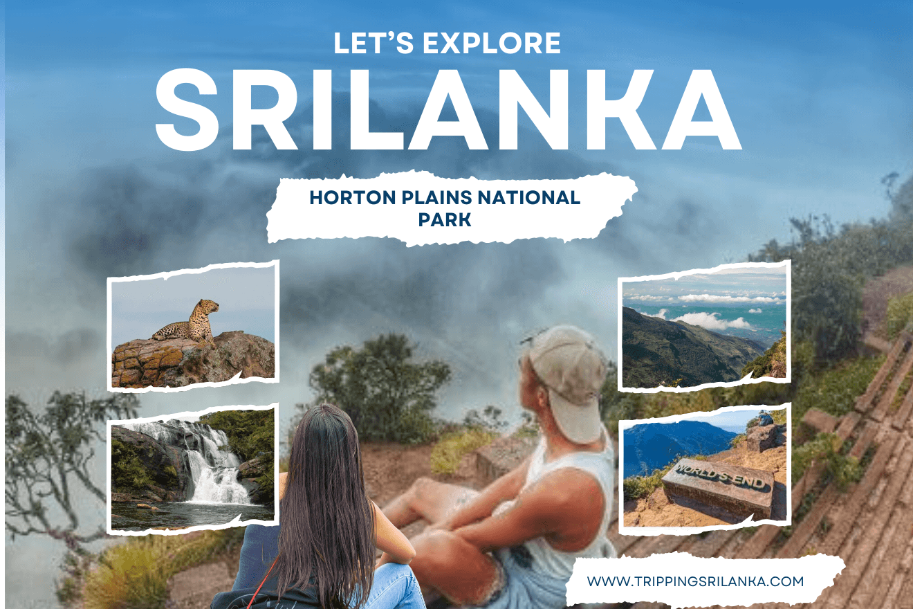 A Slightly Overrated Adventure? Exploring Horton Plains National Park