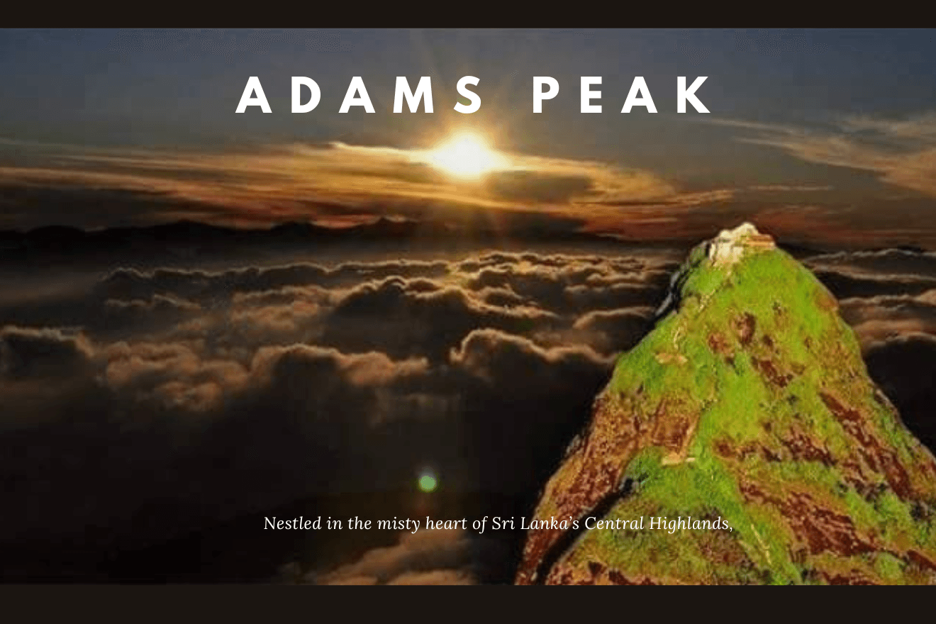 Conquering Adam’s Peak: A Pilgrim’s Journey to the Summit