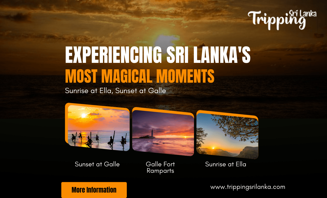Sunrise at Ella, Sunset at Galle: Experiencing Sri Lanka s Most Magical Moments