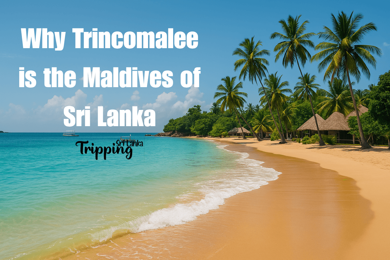 East Coast Escape: Why Trincomalee is the Maldives of Sri Lanka