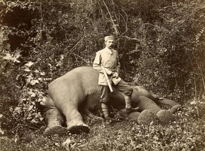 The colonial connection to Sri Lanka’s wild life