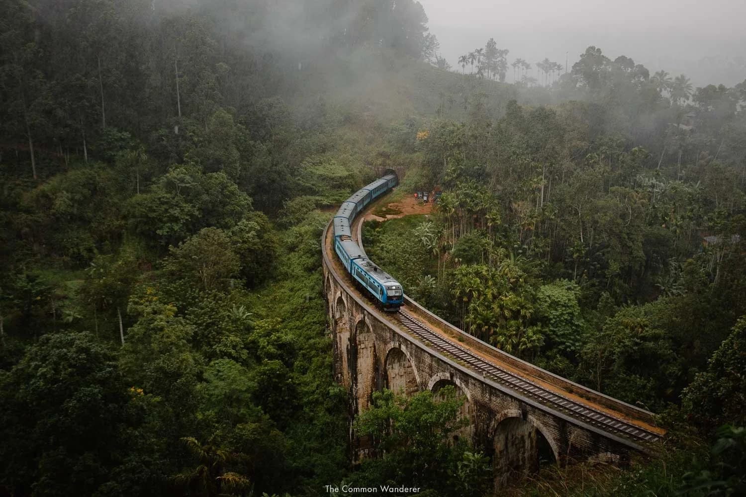 How Ella’s Microclimates Shape Its Tea and Forest Biodiversity
