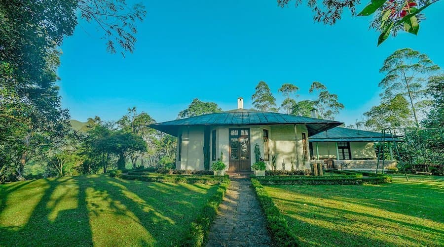 Beyond the Tea Bungalow