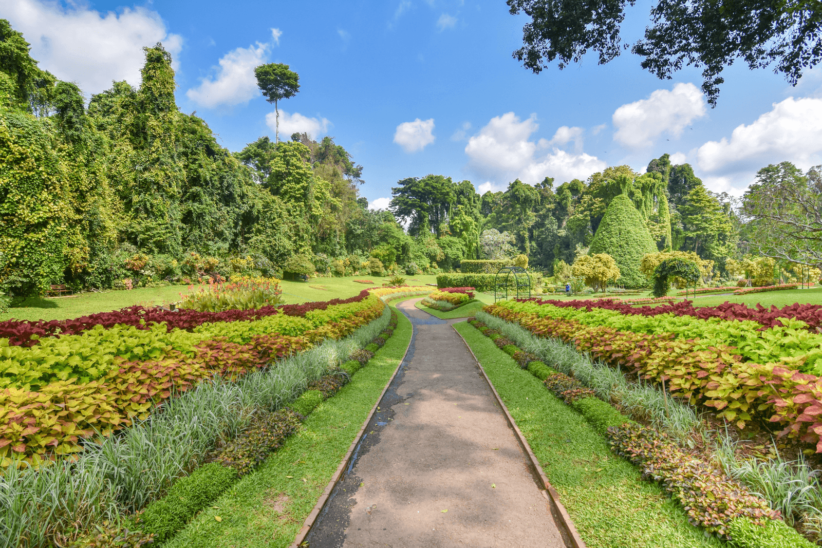 British Botanical Experiments in Peradeniya and How They Shaped Sri Lankan Flora