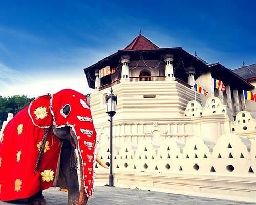 The December Pilgrim Routes Few Tourists Know: From Hill Shrines to Coastal Chapels