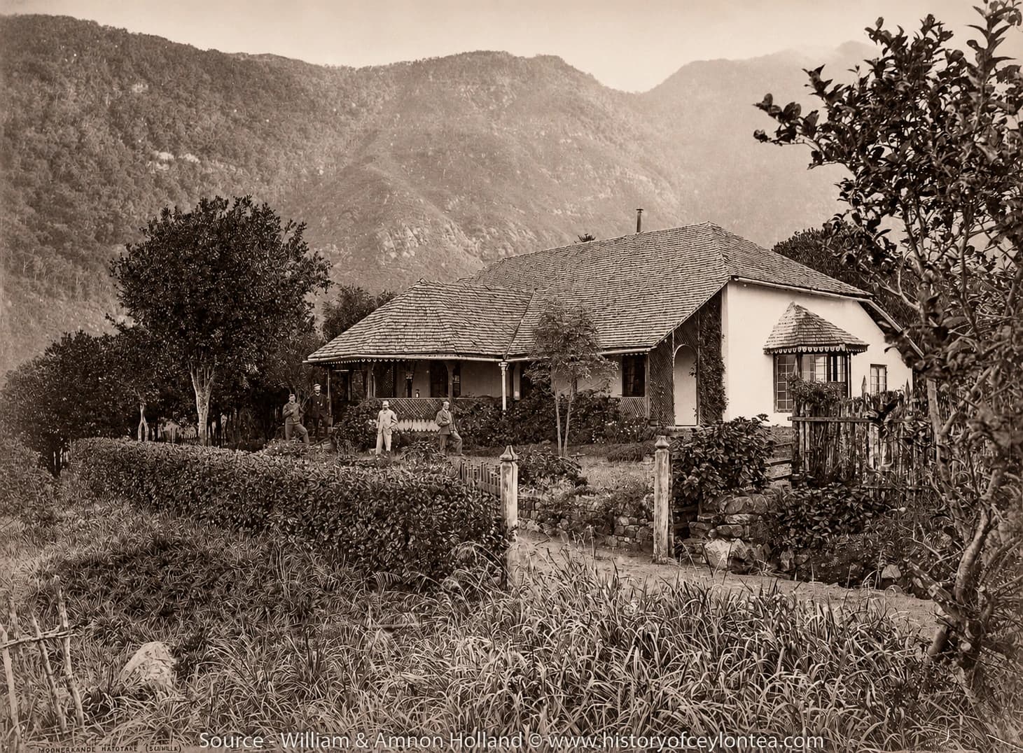 Needwood Estate Bungalow: Old Ceylon Tea Country