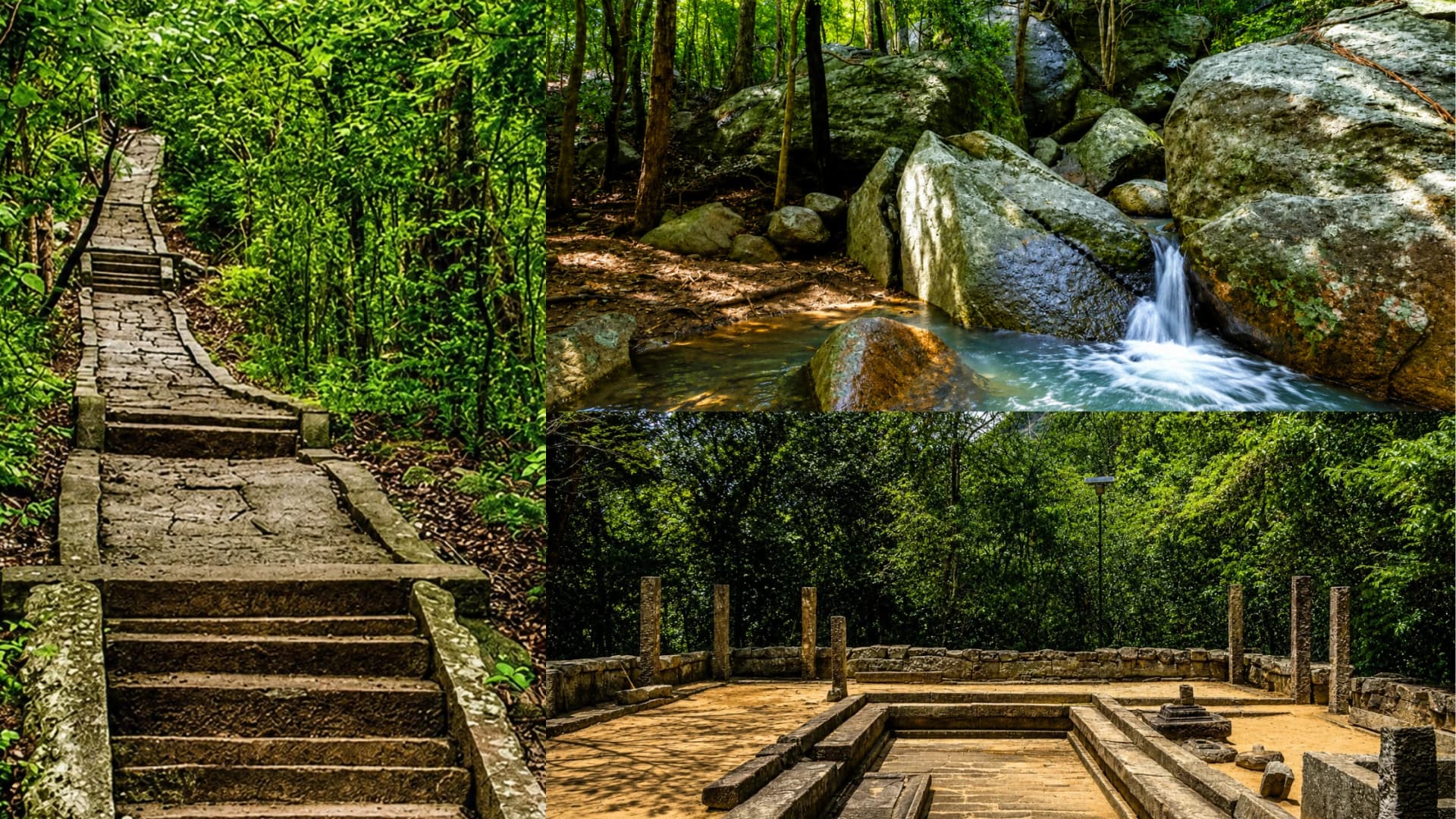 Ritigala Monastery: Sri Lanka’s Forest Ruins