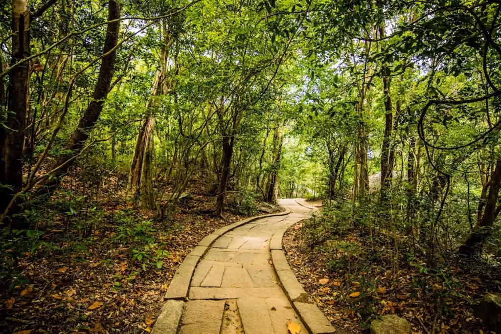 Ritigala Monastery: Sri Lanka’s Mysterious Forest Ruins