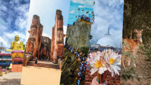 Sri Lanka's Dry Zone