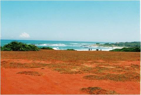 Ussangoda National Park