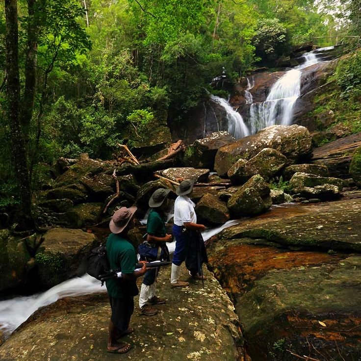 Sinharaja Rain Forest