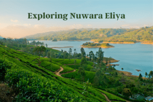 Nuwara Eliya