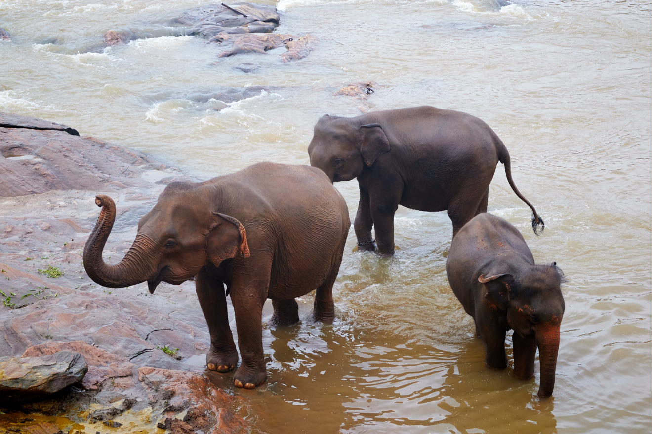 Milestone in Tourism