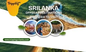 Offbeat Destinations