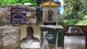 The Pioneer of Tea: James Taylor and the Birth of Sri Lanka’s Golden Leaf