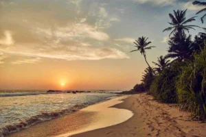 Sri Lanka’s Quaint Getaways by the Beach: From Weligama Rest House to Negombo