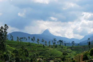 The December Pilgrim Routes Few Tourists Know: From Hill Shrines to Coastal Chapels