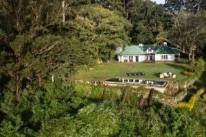 The Unexplored Colonial Bungalows of Diyatalawa: Hidden History in the Mist