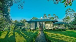 Beyond the Tea Bungalow