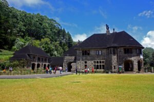 Lives Behind the Bungalows