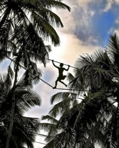 Toddy Culture of the Coastal Belt: A Deep Dive into an Old Drinking Tradition