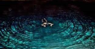 blue water pond