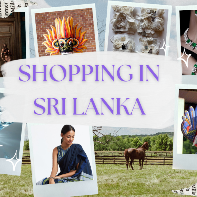 Snehidi web (5)