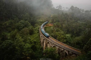 How Ella’s Microclimates Shape Its Tea and Forest Biodiversity