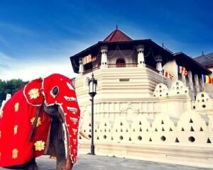 The December Pilgrim Routes Few Tourists Know: From Hill Shrines to Coastal Chapels