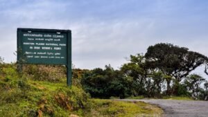 Horton Plains: Understanding the Plateau Ecosystem Before World’s End